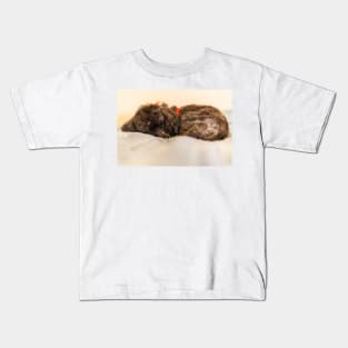 Sleeping fluff fluff Kids T-Shirt